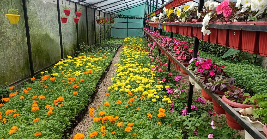 Floriculture Unit unit
