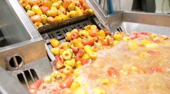Cashew / Dry-Fruit Processing unit
