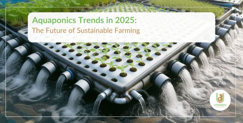 Aquaponics Trends in 2025