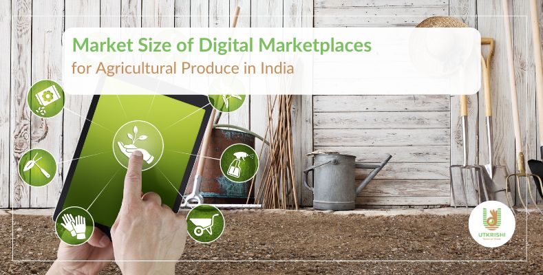 Digital marketplace